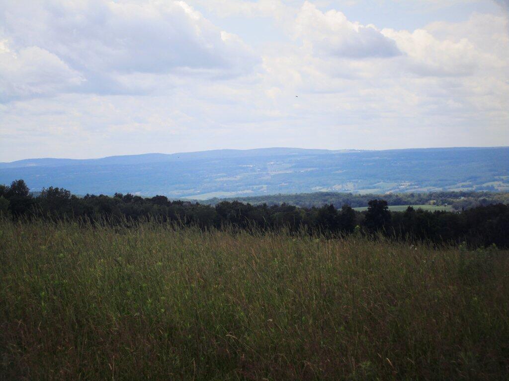 Photo: Pasture
