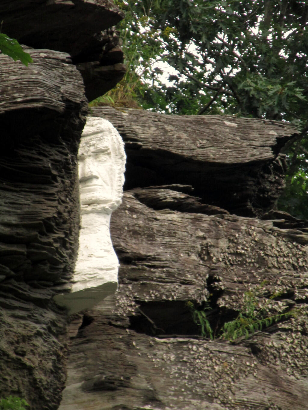 Photo: Mr. Pratt Keeps A Watchful Eye Photo: Mr. Pratt Keeps A Watchful Eye
