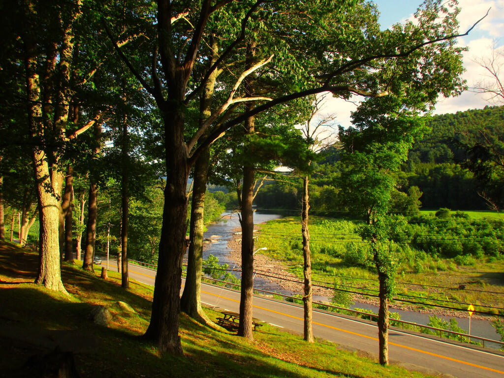 Photo: Picnic Area Photo: Picnic Area