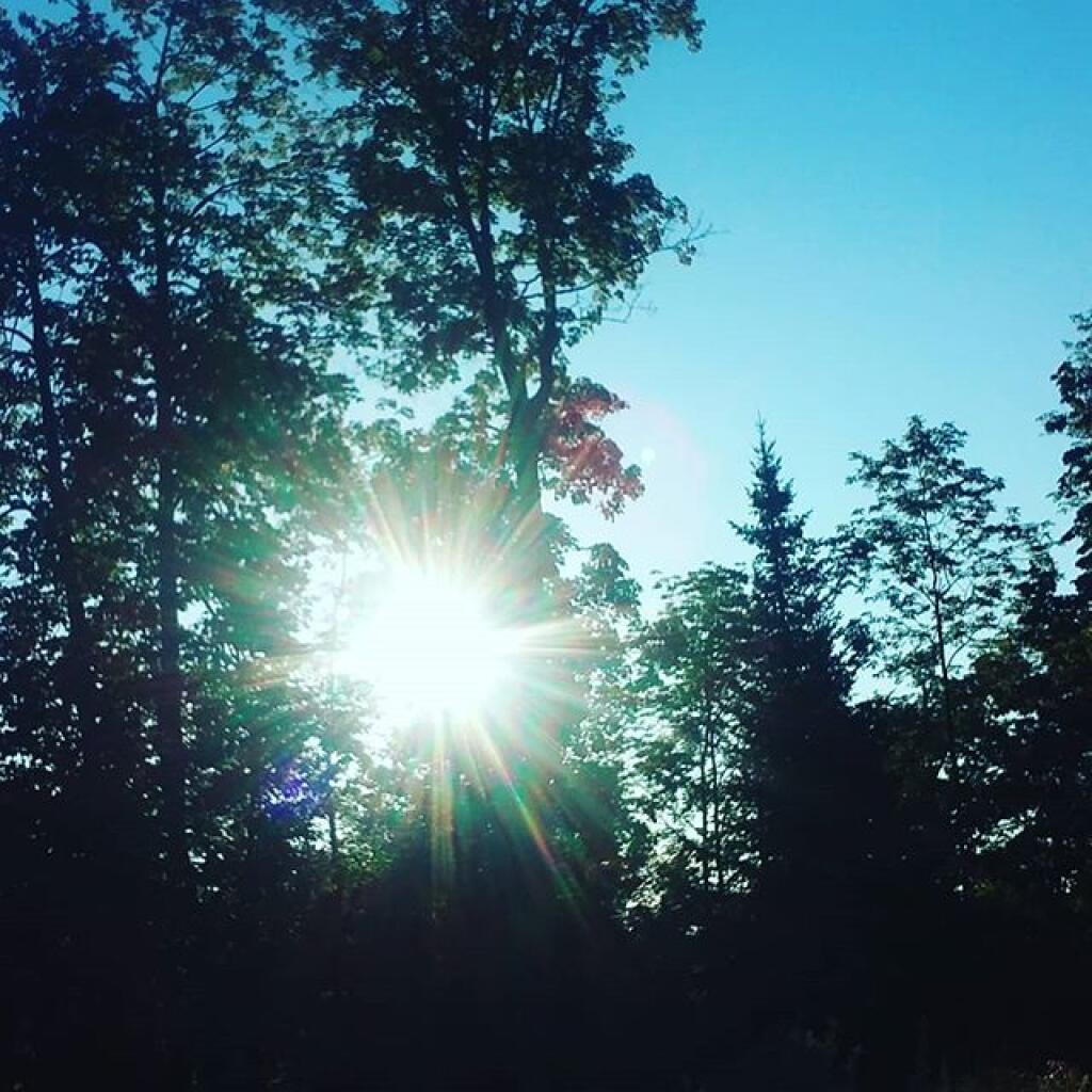 Photo: Sunshine Photo: Sunshine