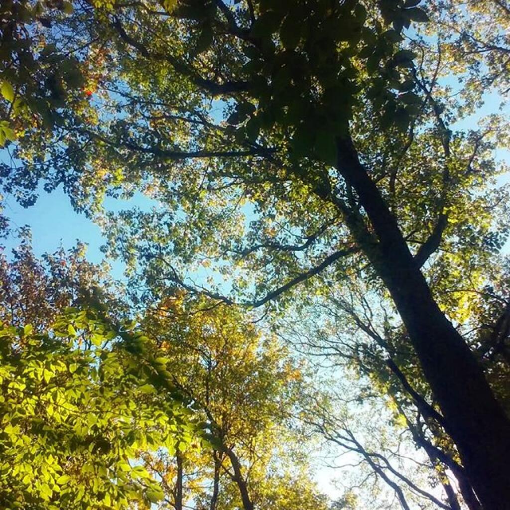 Photo: Beautiful autumn day