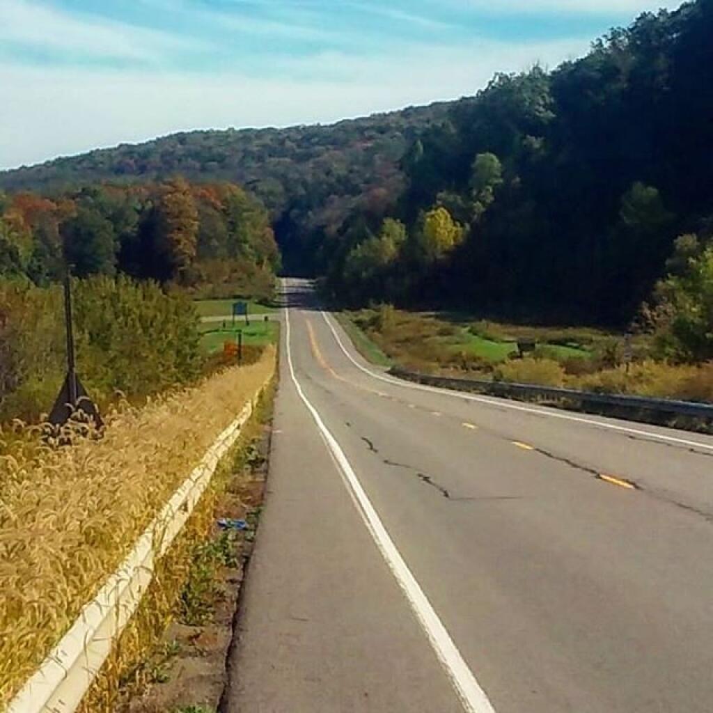 Photo: There's a bunch of dead ash trees on the hills all over Western Pennsylvania Photo: There's a bunch of dead ash trees on the hills all over Western Pennsylvania
