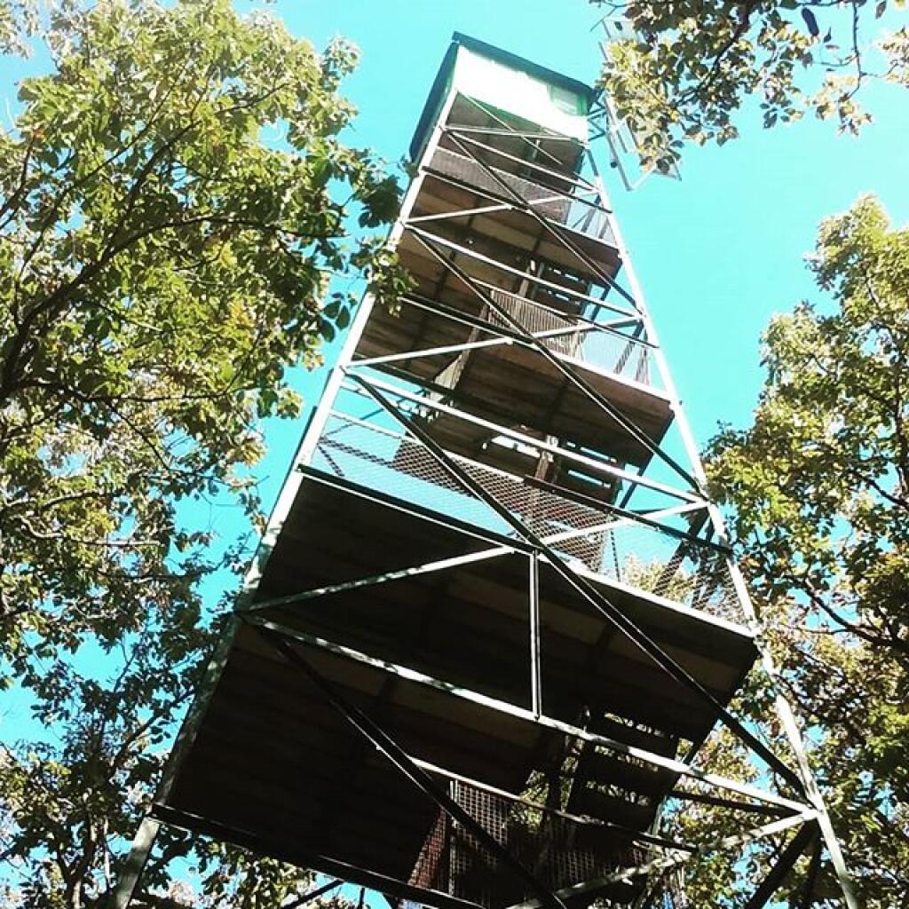Photo: Fire tower Photo: Fire tower