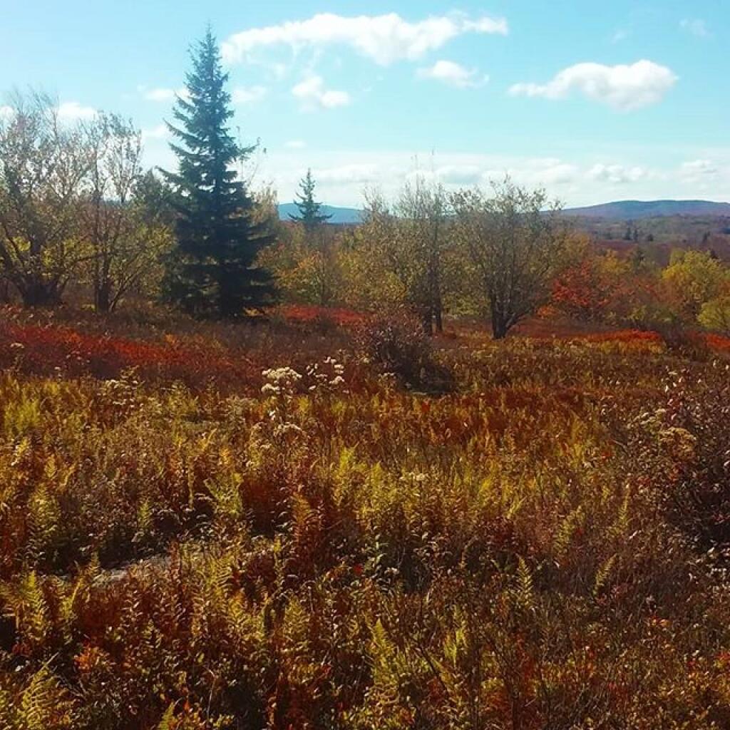 Photo: Such beautiful country Photo: Such beautiful country