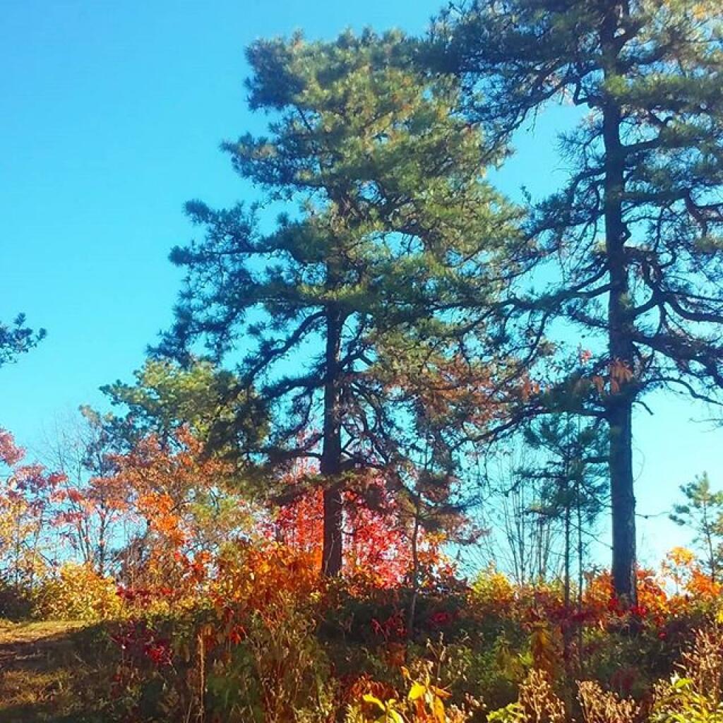 Photo: Colors
