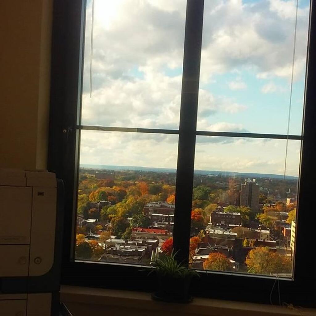 Photo: Window