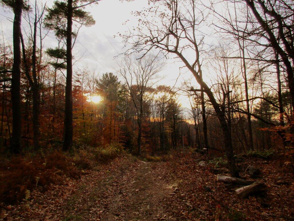 Photo: Almost Made Me Think Of November Photo: Almost Made Me Think Of November