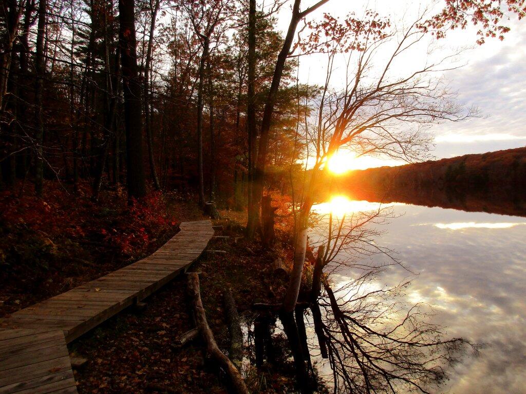 Photo: Boardwalk Photo: Boardwalk