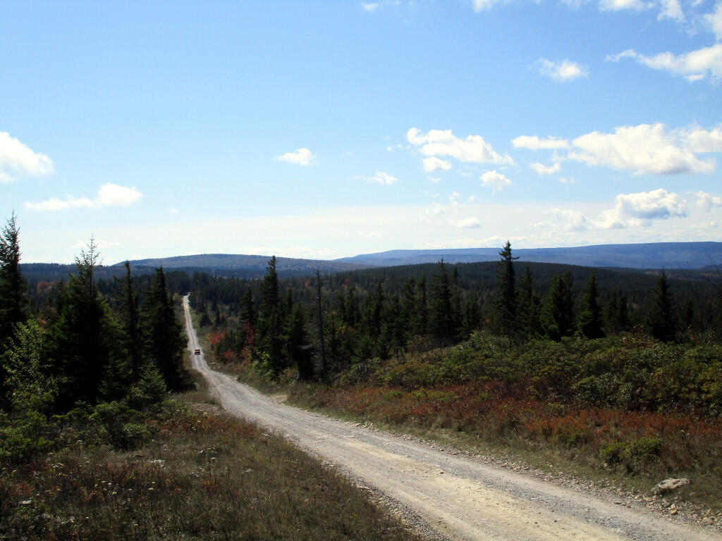Photo: Dolly Sods Road