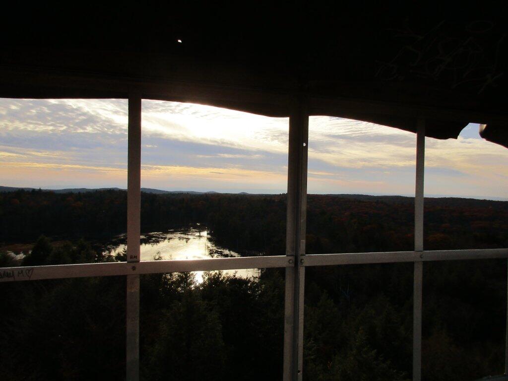 Photo: Wetland From Tower Windows Photo: Wetland From Tower Windows