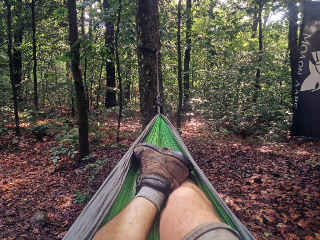 Photo: Hiding Out from the Summer Swelter [Expires July 21 2026]
