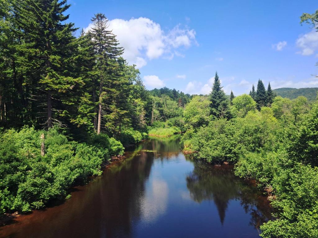 Photo: East Canada Creek [Expires July 22 2026]