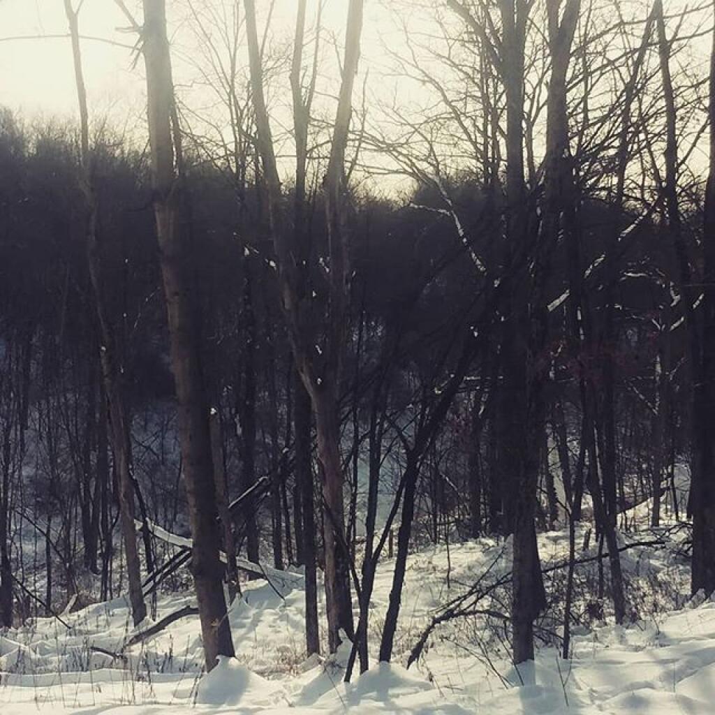 Photo: Winter