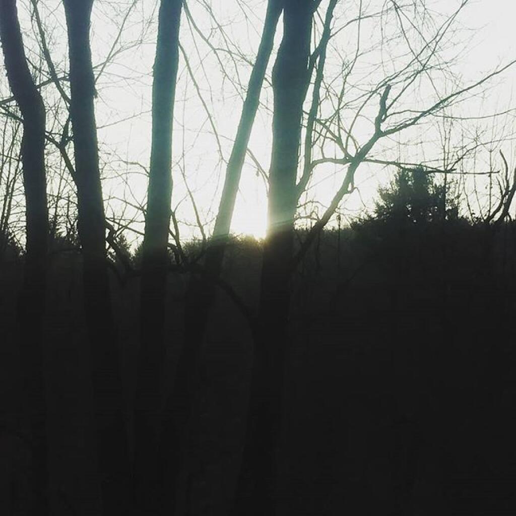 Photo: Nine o'clock sunrise in the Hollow