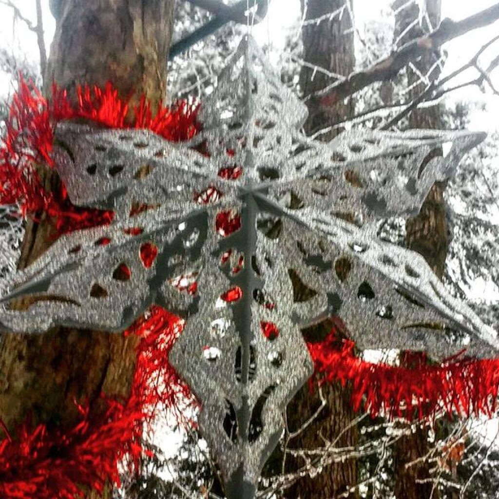 Photo: Snowflake