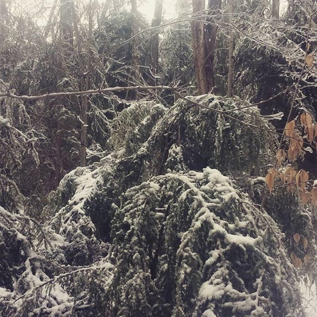 Photo: Bend Photo: Bend