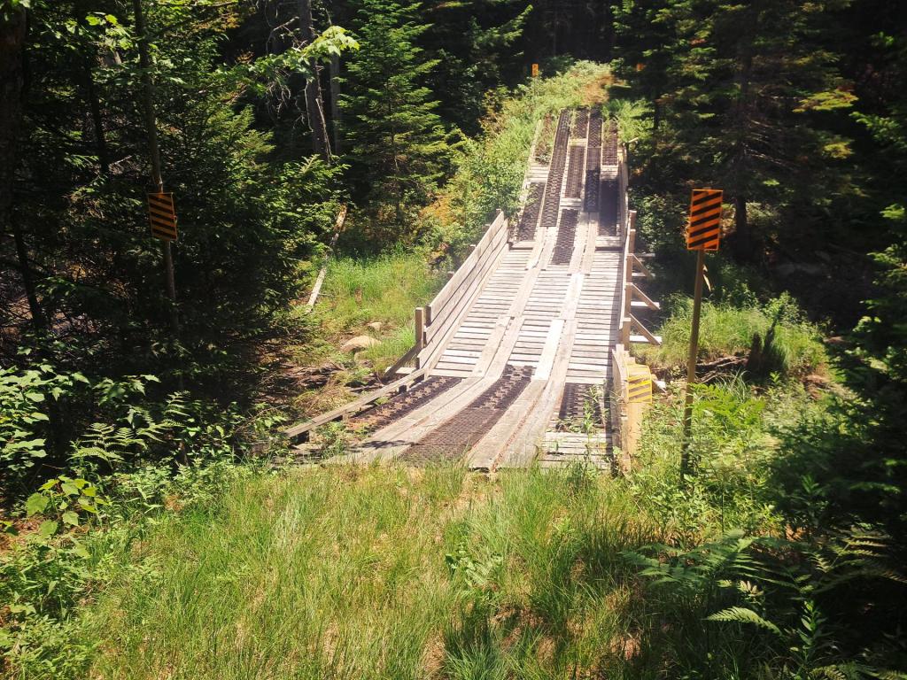 Photo: Bridge on Mitchells Pond Trail Loop [Expires July 27 2026]