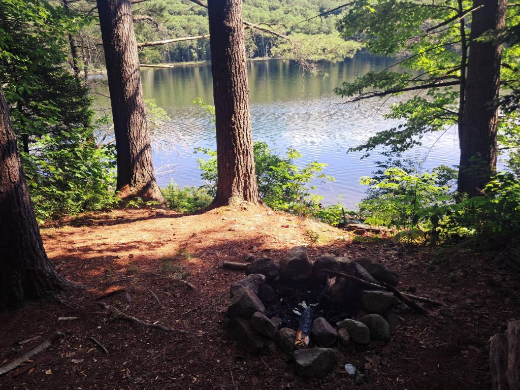 Photo: Upper Campsite on Mitchells Pond [Expires July 27 2026]