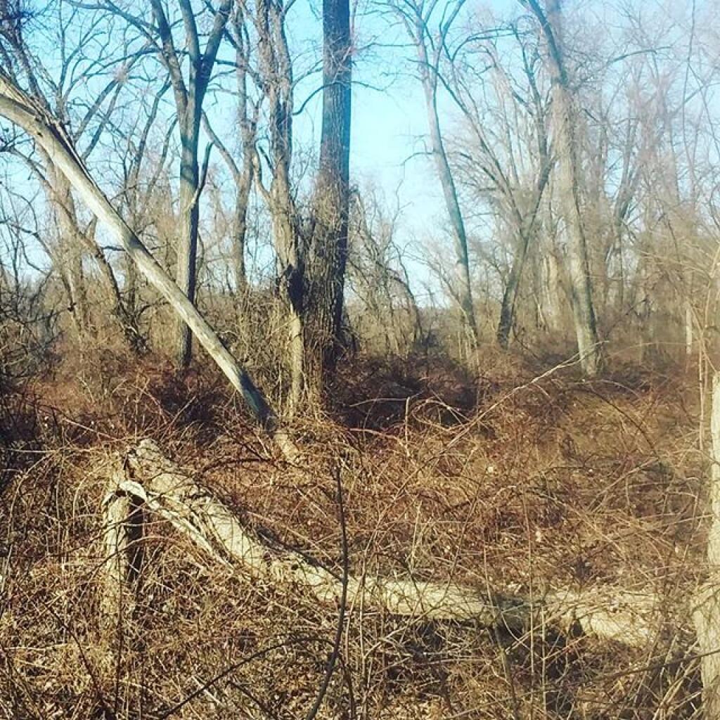 Photo: Great place to bird watch