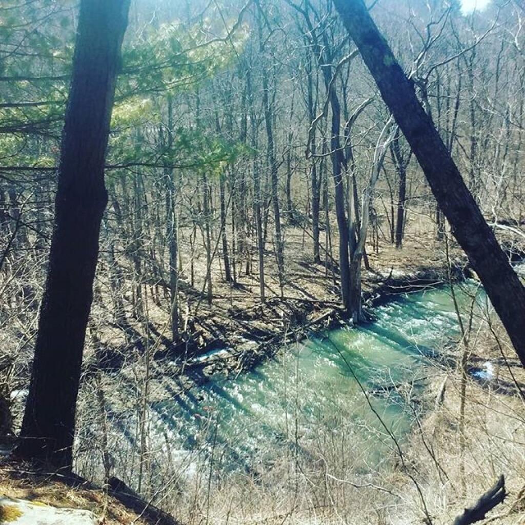 Photo: Bozen Kill Overlook Photo: Bozen Kill Overlook