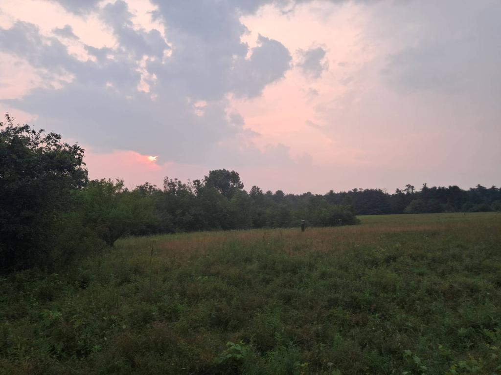 Photo: Storm clouds [Expires July 30 2026]