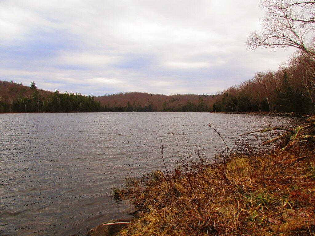 Photo: Shoreline Photo: Shoreline