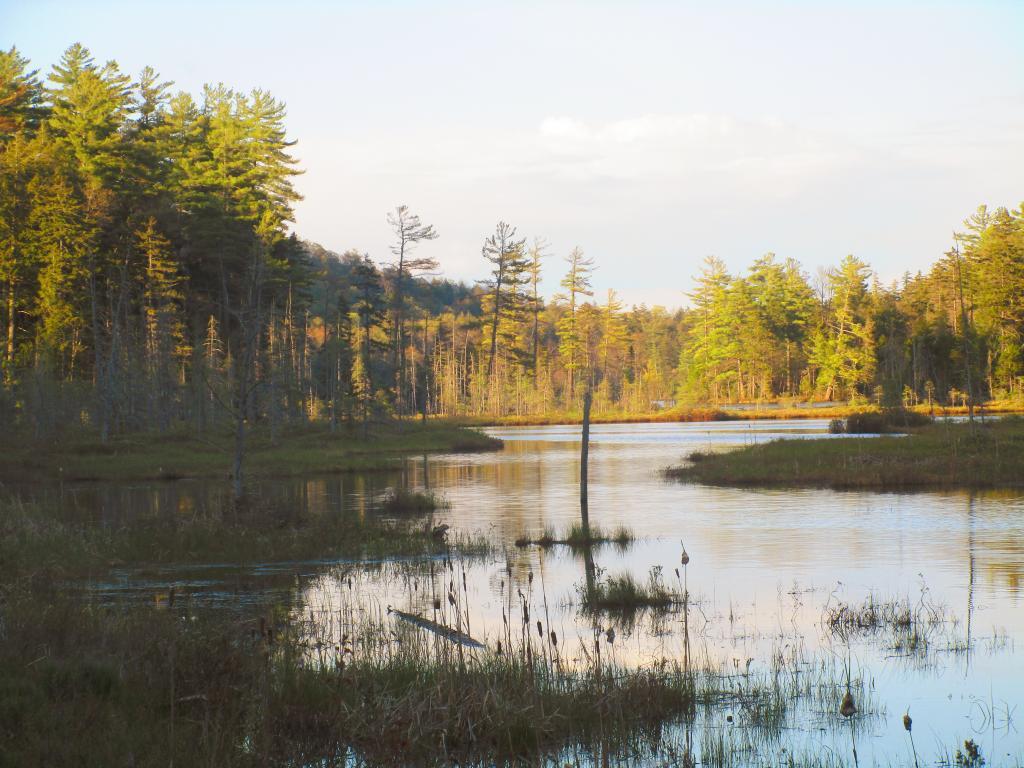 Photo: Mason Lake