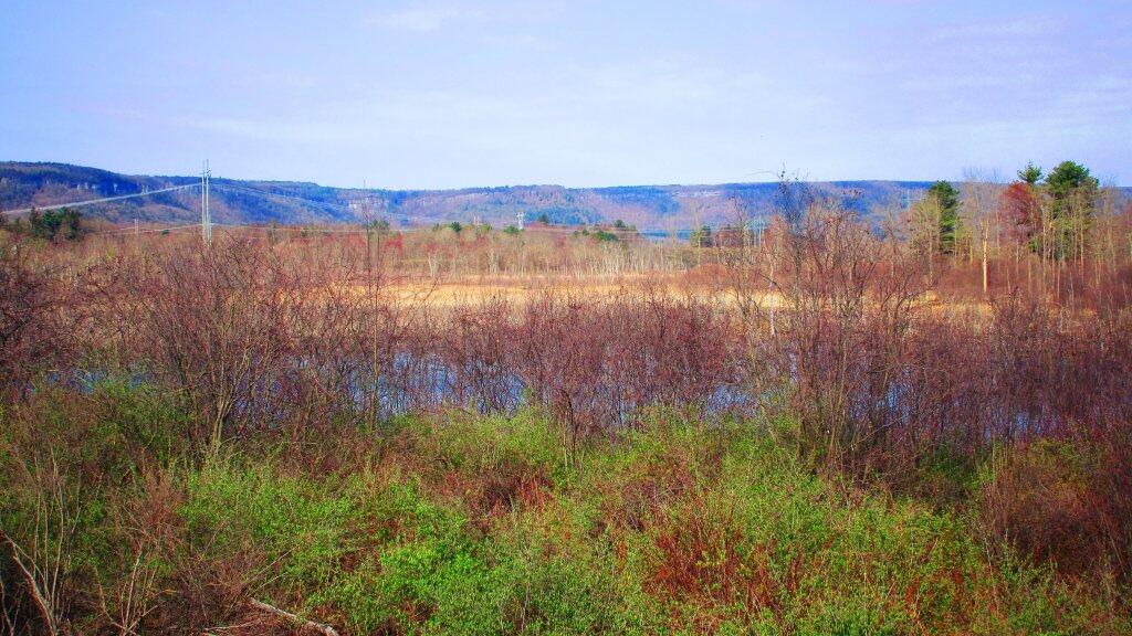 Photo: Escarpment Beyond The Marsh Photo: Escarpment Beyond The Marsh