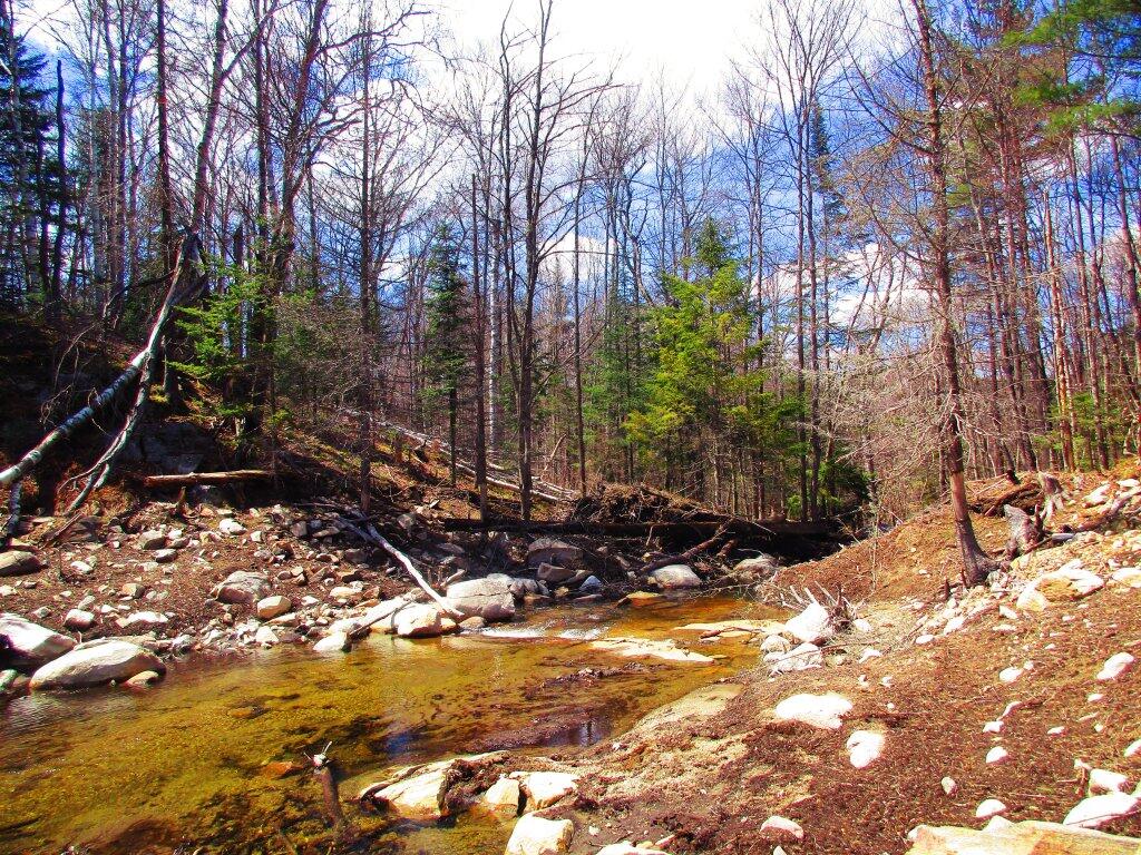 Photo: Beaver Dam Was Gone