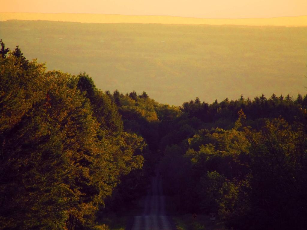 Photo: Evening Photo: Evening