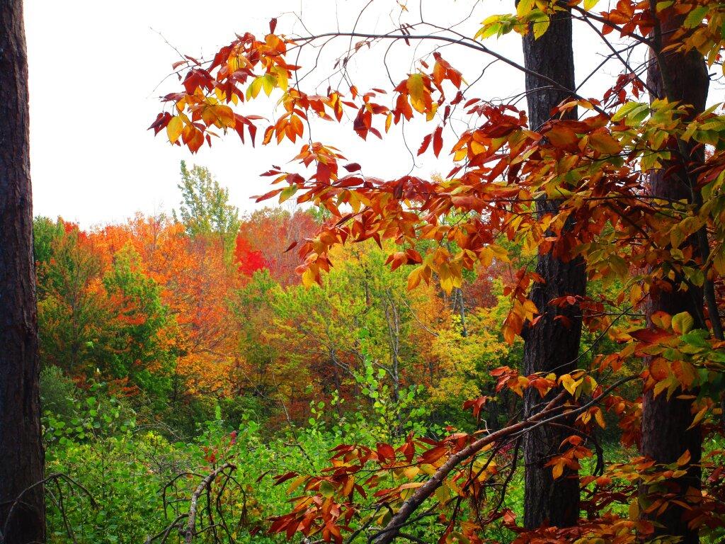 Photo: A Bit Gray But Colorful Photo: A Bit Gray But Colorful