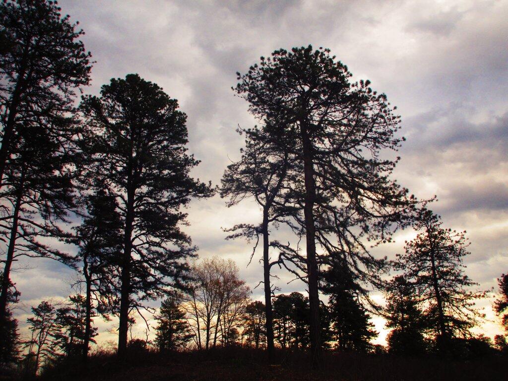Photo: Evening