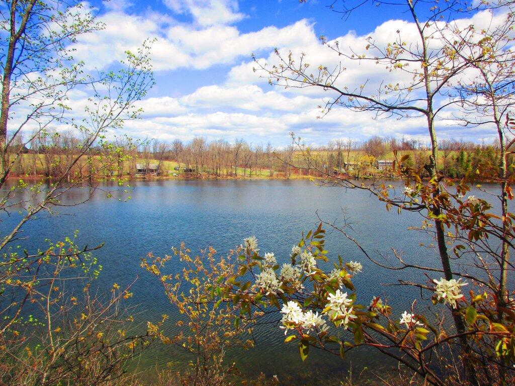 Photo: Thompsons Lake