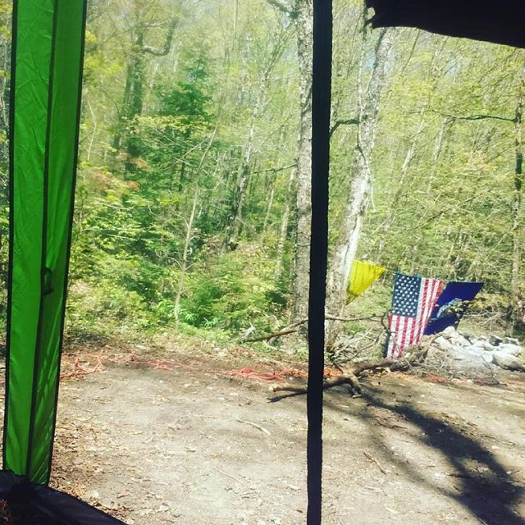 Photo: Black fly season is nicer when they are outside Photo: Black fly season is nicer when they are outside