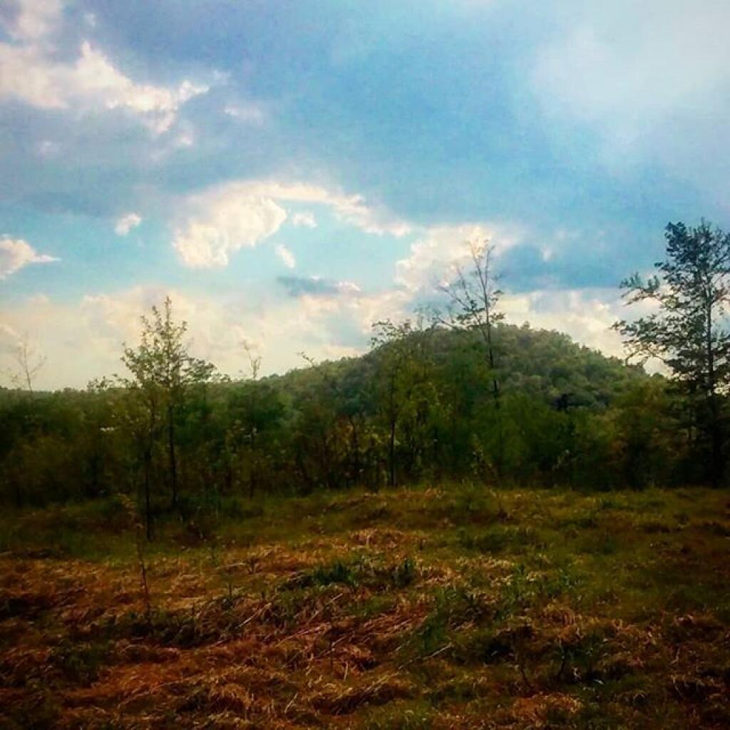 Photo: Hill