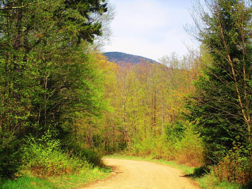 Photo: Old Military Road Photo: Old Military Road
