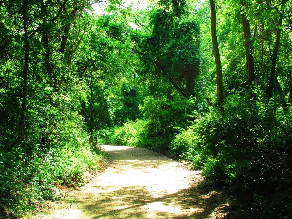 Photo: Green