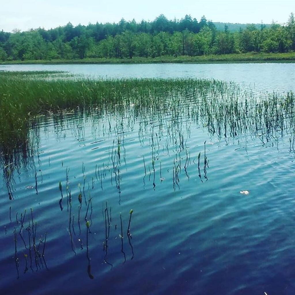 Photo: Sacandaga River