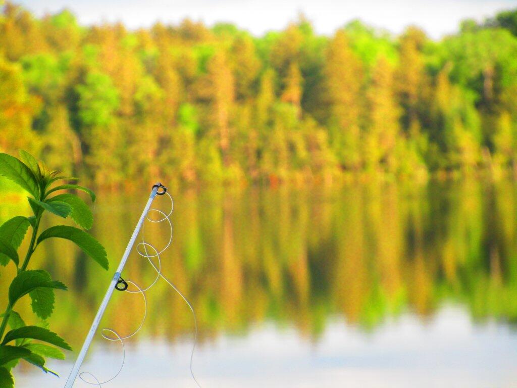 Photo: Fishing Photo: Fishing