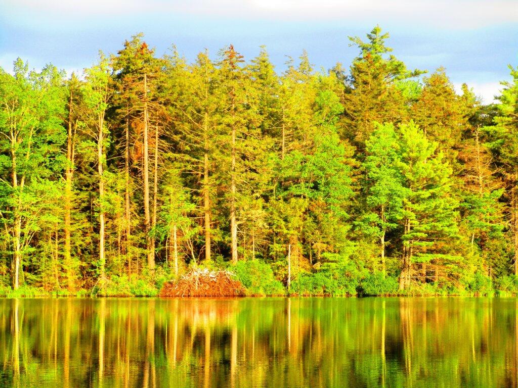 Photo: Quiet