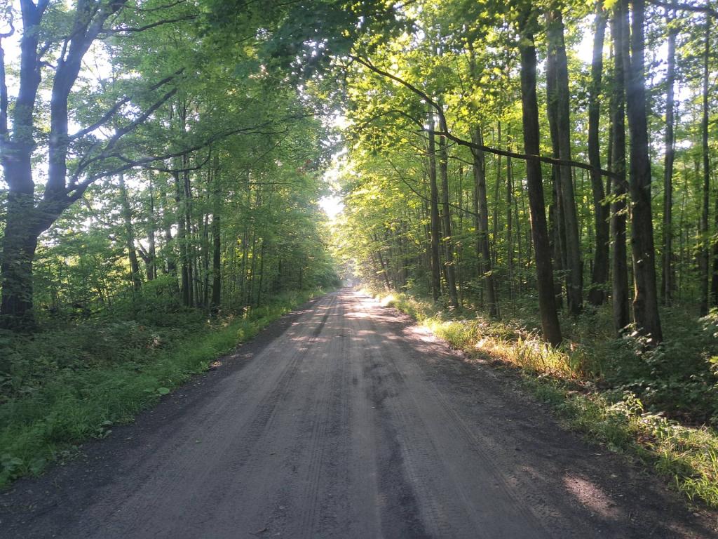 Photo: Chicken Co-op Road [Expires August 14 2026]