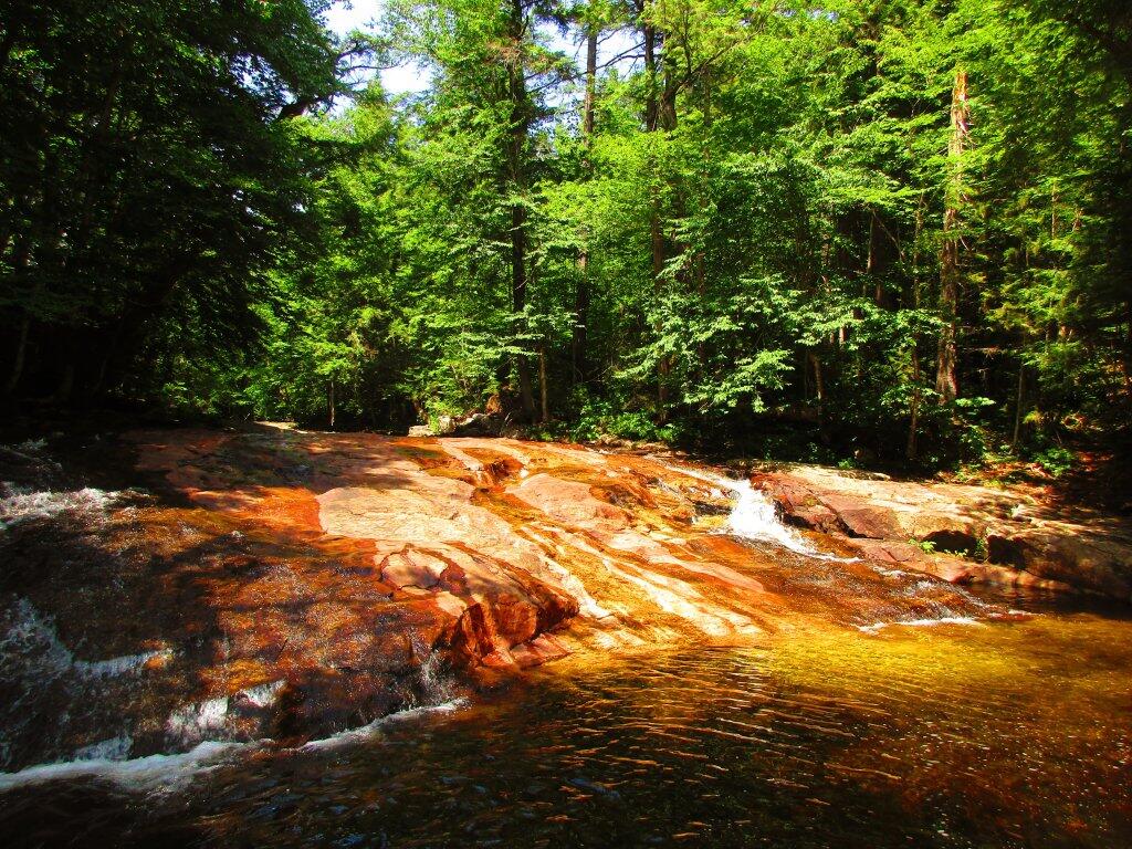 Photo: Gentle Drop Into A Golden Pool
