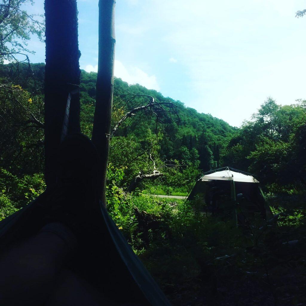 Photo: Hammock view Photo: Hammock view