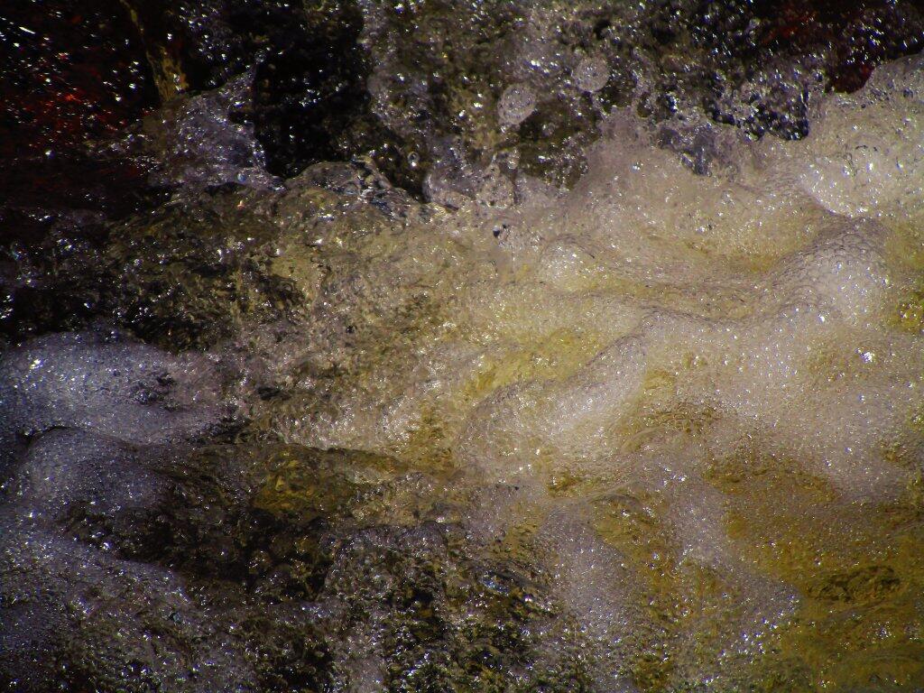 Photo: Froth