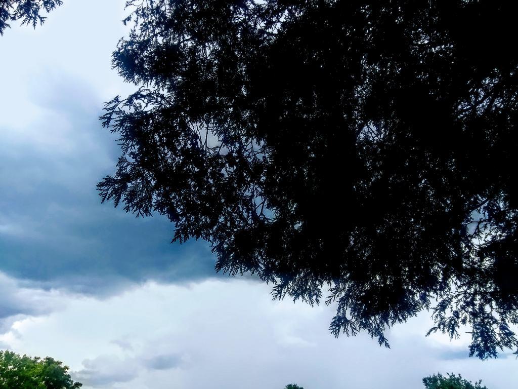 Photo: Thunderstorm Photo: Thunderstorm