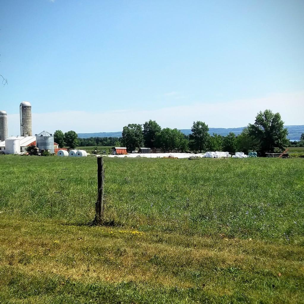 Photo: Scenic Vista Photo: Scenic Vista