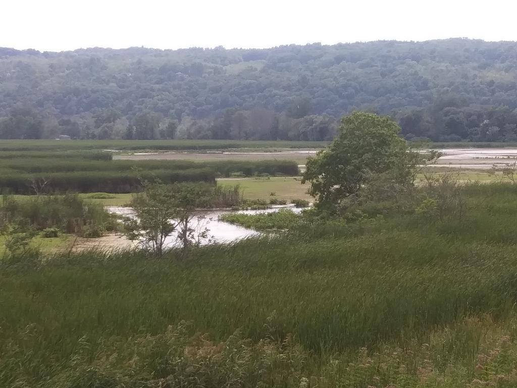 Photo: Catherine Creek Marsh Photo: Catherine Creek Marsh