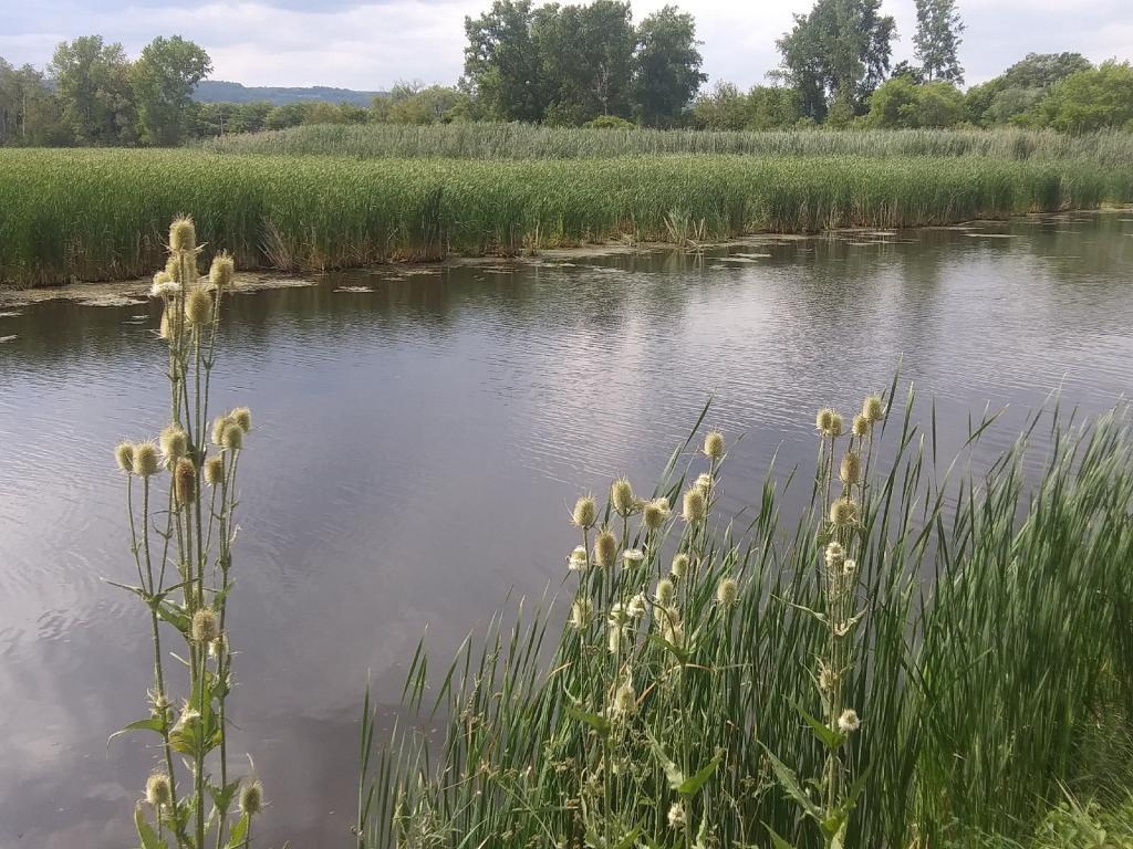 Photo: Seneca Lake Outlet Photo: Seneca Lake Outlet