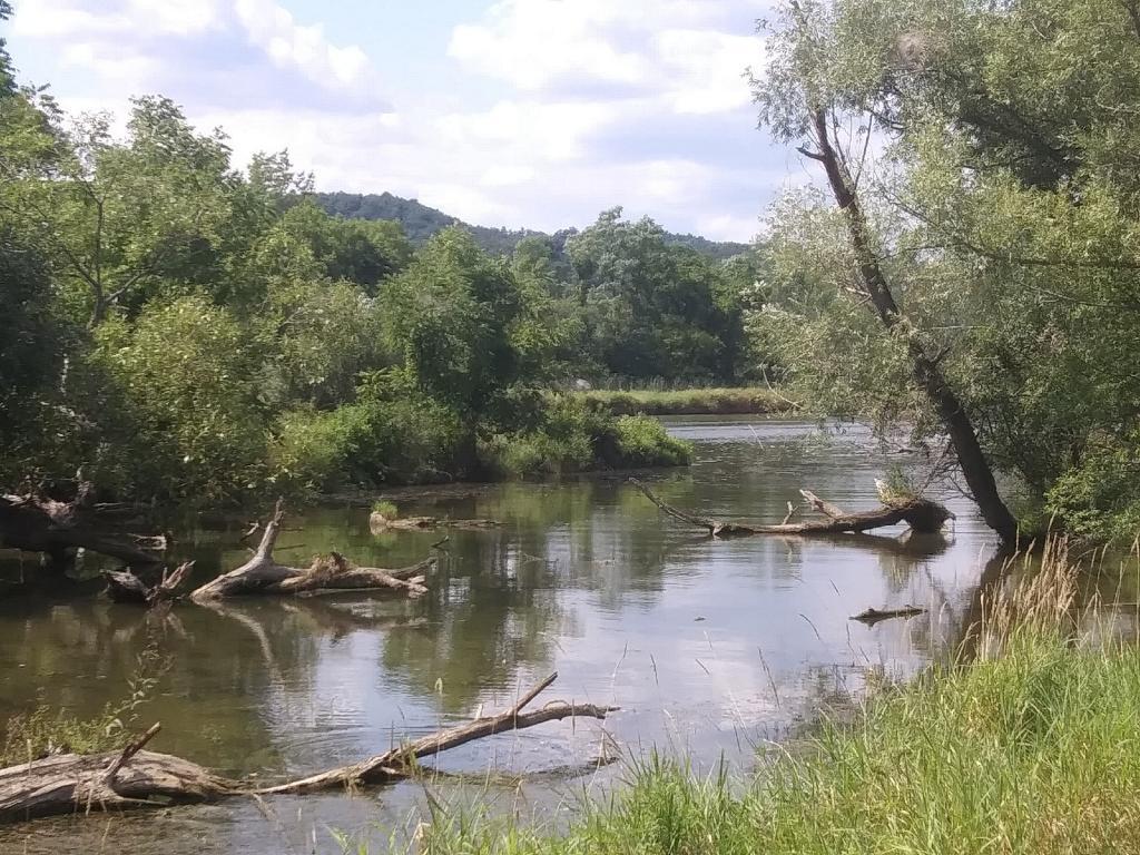 Photo: Backwater Photo: Backwater