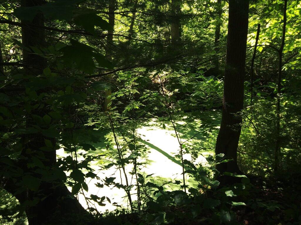 Photo: Part Of The Old Crooked Lake Canal Photo: Part Of The Old Crooked Lake Canal